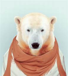 Animal Clothes