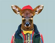 Animal Clothes