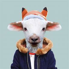 Animal Clothes