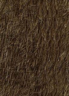 Animal Fur
