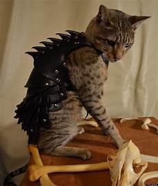 Animal Skins
