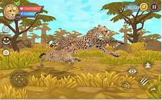 Animal Skins