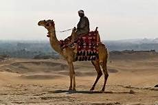 Animal Transportation