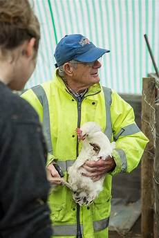 AnimalHusbandry