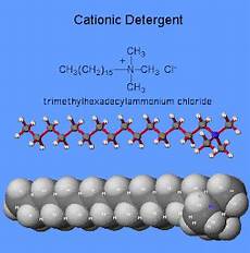 Anionic Surfactant