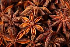 Anise Tea