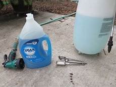Ant Insecticide