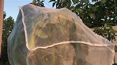 Anti Insect Net