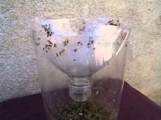 Anti Mosquito