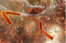 Antibiotic Resistance