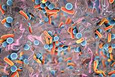 Antibiotic Resistance
