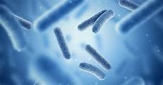 Antibiotic Resistance