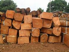 Anticorrosive Woods