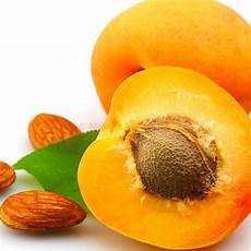 Apricot Kernal