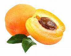 Apricot Kernal
