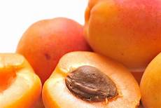 Apricot Kernal