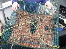 Aquaculture Traps