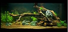 Aquarium Decoration