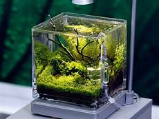 Aquarium Light
