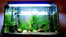 Aquarium Light