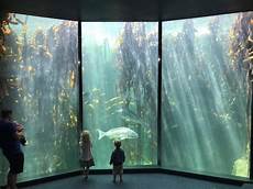 Aquarium Plants