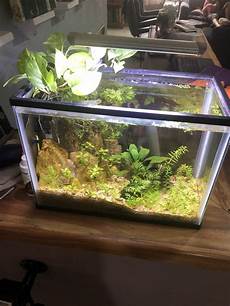 Aquarium Plants