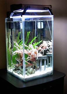 Aquarium Supplies