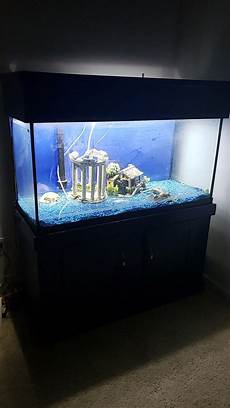 Aquarium Supplies