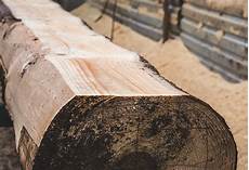 Arauco Plywood