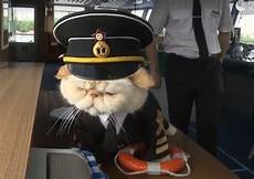 Army Hat