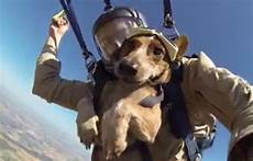 Army Parachute