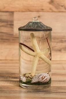 Aroma Naturals Candles