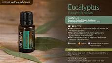 Aromatic Oil