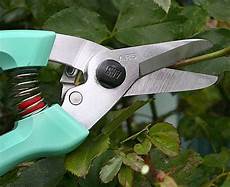 Ars Pruning Shear