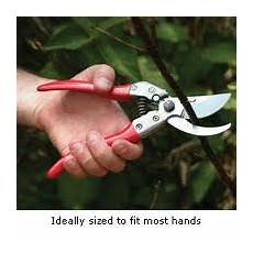 Ars Pruning Shear