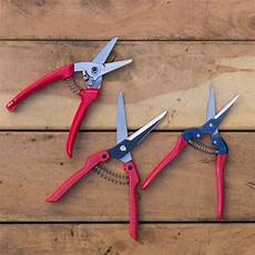 Ars Pruning Shear
