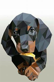 Art Animals Paintings