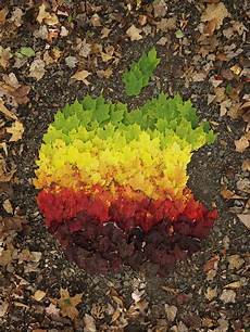 Art Decoration