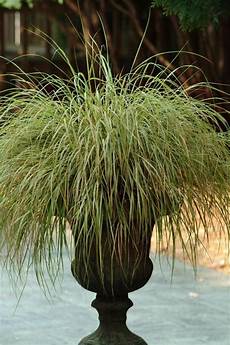 Artificial Grass