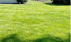 Artificial Lawn