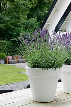 Artificial Outdoor Flowers