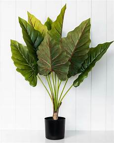 Artificial Plants