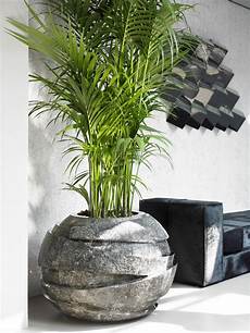 Artificial Plants