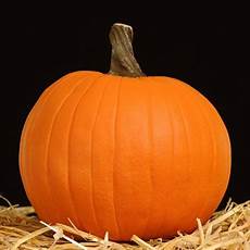 Artificial Pumpkins Funkins