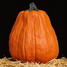 Artificial Pumpkins Funkins