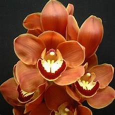 Artificial Velvet Flowers