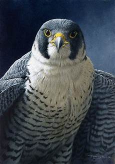 Artists Oil Painting