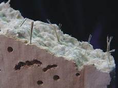 Asbestos Fiber