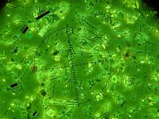 Asbestos Fiber