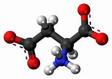 Aspartate Aspartic Acid